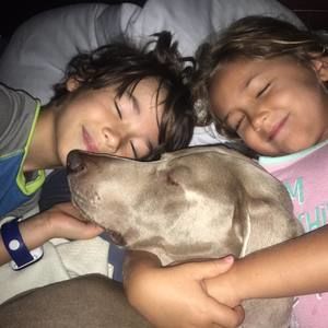 Meet your Posher, Sheila